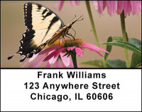 Butterflies and Blooms Address Labels | LBBAI-85