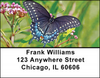 Butterflies and Blooms Address Labels | LBBAI-85