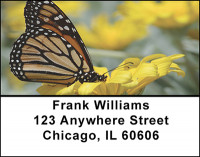 Butterflies and Blooms Address Labels | LBBAI-85