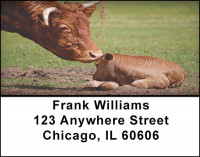 Cows and Calves Address Labels | LBBAI-90