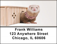 Ferret Fever Address Labels | LBBAJ-21