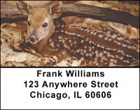 Cute Little Whitetails Address Labels | LBBAK-20