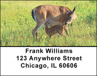 Cute Little Whitetails Address Labels | LBBAK-20