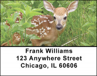 Cute Little Whitetails Address Labels | LBBAK-20