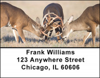 Rutting Whitetail Bucks Address Labels | LBBAK-21