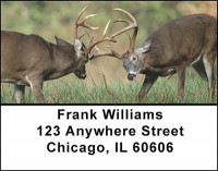 Rutting Whitetail Bucks Address Labels | LBBAK-21