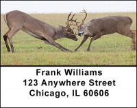 Rutting Whitetail Bucks Address Labels | LBBAK-21