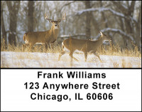 Rutting Whitetail Bucks Address Labels | LBBAK-21