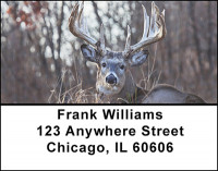 Monster Trophy Bucks Address Labels | LBBAK-22