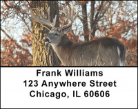 Monster Trophy Bucks Address Labels | LBBAK-22