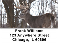 Monster Trophy Bucks Address Labels | LBBAK-22