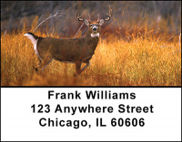 Monster Trophy Bucks Address Labels | LBBAK-22