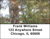 Bow Hunting For Big Game Address Labels | LBBAK-24
