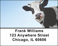 Cows - Holsteins Address Labels | LBBAK-26