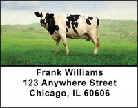 Cows - Holsteins Address Labels | LBBAK-26