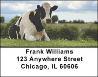 Cows - Holsteins Address Labels | LBBAK-26