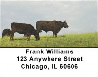 Black Angus Cattle Address Labels | LBBAK-27