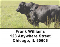Black Angus Cattle Address Labels | LBBAK-27