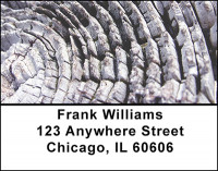 Tree Rings Address Labels | LBBAK-33