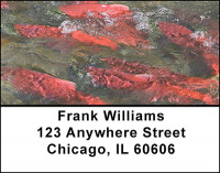 Fishing Alaska's Waters Address Labels | LBBAK-42