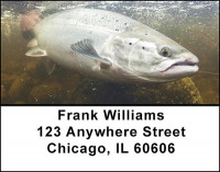 Fishing Alaska's Waters Address Labels | LBBAK-42