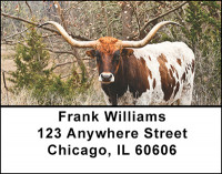 Longhorn Cattle Address Labels | LBBAK-50
