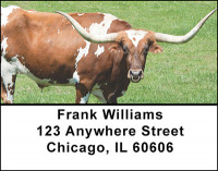Longhorn Cattle Address Labels | LBBAK-50