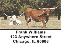 Longhorn Cattle Address Labels | LBBAK-50