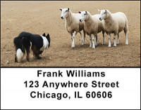 Sheep Ranch Address Labels | LBBAK-51