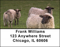 Sheep Ranch Address Labels | LBBAK-51