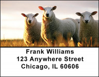 Sheep Ranch Address Labels | LBBAK-51