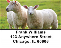 Sheep Ranch Address Labels | LBBAK-51