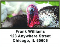 Turkey's Address Labels | LBBAK-52
