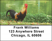 Chicken Rooster Address Labels | LBBAK-53