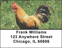 Chicken Rooster Address Labels | LBBAK-53