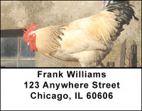 Chicken Rooster Address Labels | LBBAK-53