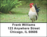 Chicken Rooster Address Labels | LBBAK-53