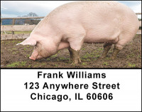 Farm Pigs Address Labels | LBBAK-54