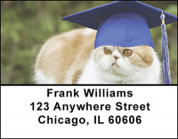 Smart Cats Address Labels | LBBAK-60