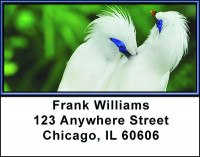 Bird Watching Address Labels | LBBAK-61