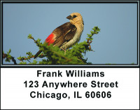 Bird Watching Address Labels | LBBAK-61