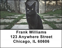 Loving Kitty's Address Labels | LBBAK-66