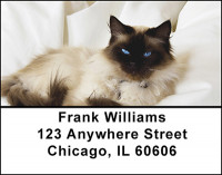 Loving Kitty's Address Labels | LBBAK-66
