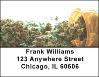 Marijuana in Medicine Address Labels | LBBAK-81