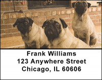 Adorable Pugs Address Labels | LBBAK-93