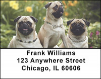Adorable Pugs Address Labels | LBBAK-93