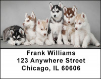 Siberian Huskies Address Labels | LBBAK-94