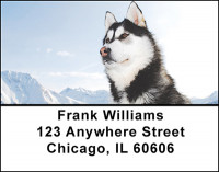 Siberian Huskies Address Labels | LBBAK-94