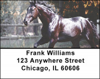 Beautiful Horses Address Labels | LBBAL-10