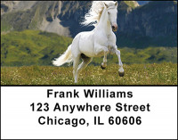 Beautiful Horses Address Labels | LBBAL-10